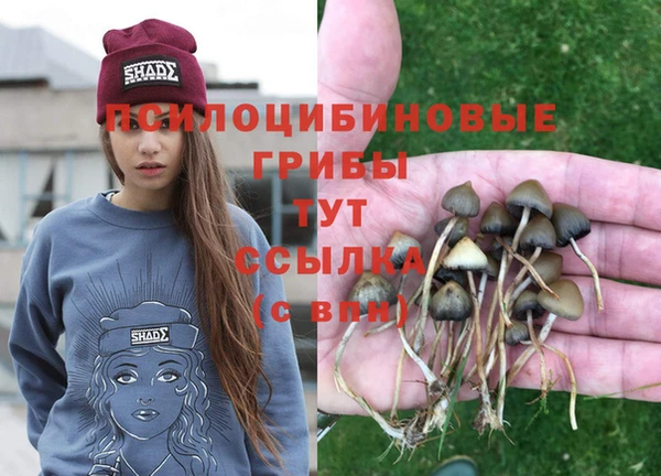 MDMA Белокуриха