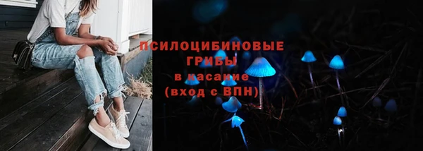 MDMA Белокуриха